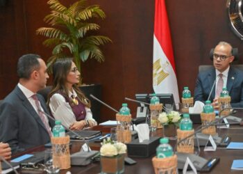 وزير الاستثمار يبحث مع نيسان مصر خطط التوسع وزيادة الإنتاج والتصدير