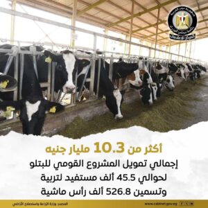 وزارة الزراعة: تمويل أكثر من 10 مليارات جنيه للمشروع القومي للبتلو ويستهدف 45 ألف مستفيد