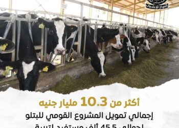 وزارة الزراعة: تمويل أكثر من 10 مليارات جنيه للمشروع القومي للبتلو ويستهدف 45 ألف مستفيد