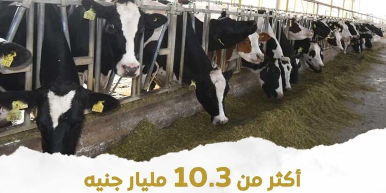 وزارة الزراعة: تمويل أكثر من 10 مليارات جنيه للمشروع القومي للبتلو ويستهدف 45 ألف مستفيد