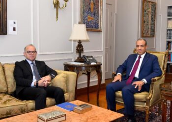 وزيرا الخارجية والاستثمار يبحثان آليات تنسيق الجهود لجذب الاستثمارات الأجنبية ودعم مستهدفات التنمية