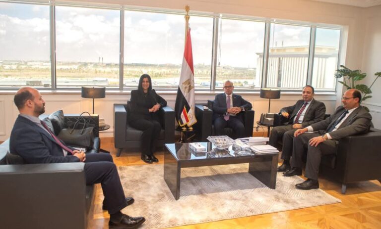 محمد فريد يبحث تطوير آليات عمل صندوق مصر السيادي لتعظيم قيمة الأصول