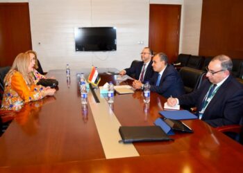 وزير الخارجية يؤكد دعم القطاع الخاص لتحقيق التنمية في أفريقيا