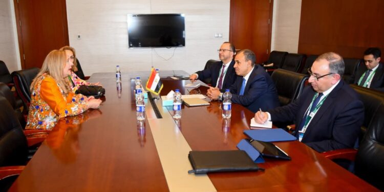 وزير الخارجية يؤكد دعم القطاع الخاص لتحقيق التنمية في أفريقيا