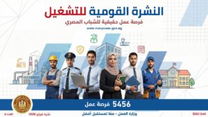 5456 فرصة عمل جديدة في 14 محافظة.. وزارة العمل تطلق نشرتها نصف الشهرية بشراكة 54 شركة