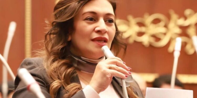 النائبة نيفين فارس تتقدم بدراسة أثر تشريعي حول المادة (60) من قانون العقوبات بشأن العنف الأسري