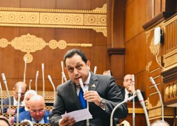 النائب محمد الجندي يطالب بتشديد الرقابة على سلاسل الإمداد لضبط الأسعار وتحقيق توازن الأسواق