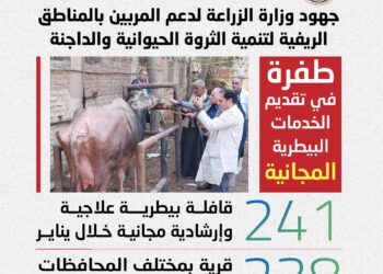 «الزراعة»: تنفيذ 241 قافلة بيطرية مجانية في 238 قرية خلال يناير لدعم صغار المربين