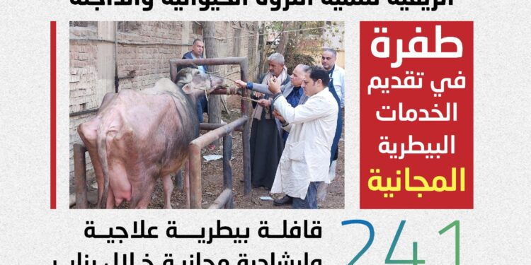 «الزراعة»: تنفيذ 241 قافلة بيطرية مجانية في 238 قرية خلال يناير لدعم صغار المربين