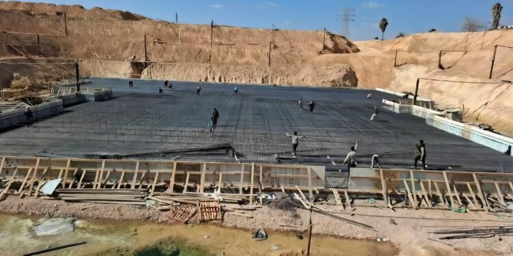 «الزراعة»: تنفيذ 241 قافلة بيطرية مجانية في 238 قرية خلال يناير لدعم صغار المربين