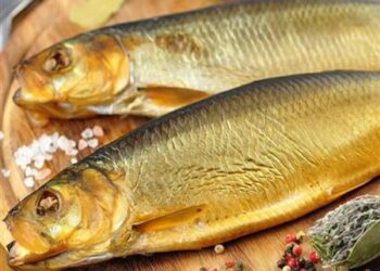 الفسيخ والرنجة على مائدة العيد.. كيف نتناولها بشكل صحي لتجنب التسمم