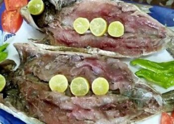 تحذيرات صحية مع عيد الفطر: «الصحة» تقدم إرشادات هامة لتجنب مخاطر الفسيخ والرنجة