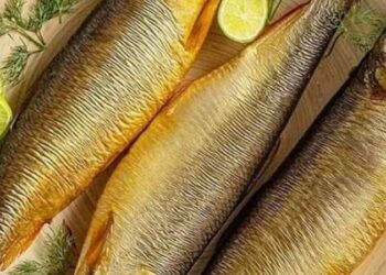 سعر الفسيخ يصل لـ400 جنيه.. تعرف على أسعار الرنجة والفسيخ اليوم قبل عيد الفطر