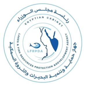جهاز حماية وتنمية البحيرات يواصل أعمال الصيد بمزرعة المنزلة وإنتاج 40 طنًا من الأسماك المتنوعة