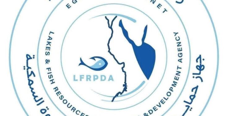 جهاز حماية وتنمية البحيرات يواصل أعمال الصيد بمزرعة المنزلة وإنتاج 40 طنًا من الأسماك المتنوعة