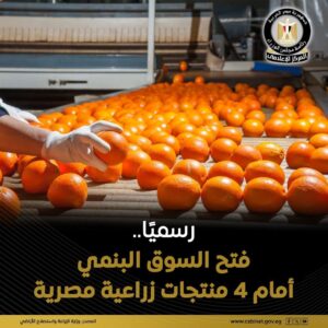 مصر تفتح السوق البنمي أمام صادرات الموالح لأول مرة   