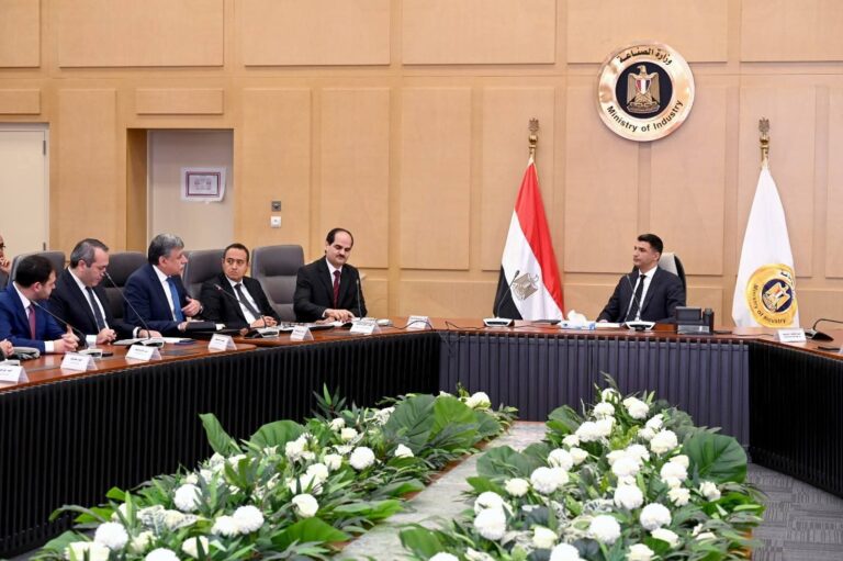 وزير الصناعة يبحث مع مصنعي السيراميك والبورسلين تحديات القطاع وخطط التوسع