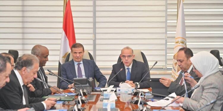 وزيرا الاستثمار والزراعة يبحثان تعزيز التواجد المصري الاستثماري والتجاري في أفريقيا