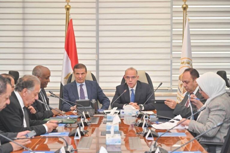 وزيرا الاستثمار والزراعة يبحثان تعزيز التواجد المصري الاستثماري والتجاري في أفريقيا