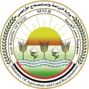 مصر توسع صادراتها الزراعية إلى الأسواق العربية والخليجية