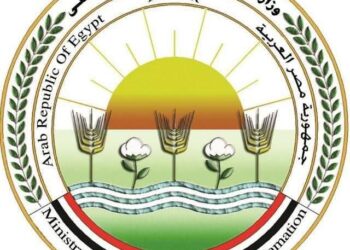 مصر توسع صادراتها الزراعية إلى الأسواق العربية والخليجية