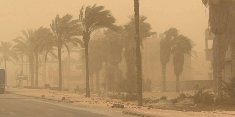 وزيرة التنمية المحلية تتلقي تقريراً من مركز سيطرة الشبكة الوطنية للطوارئ والسلامه حول متابعة سوء الأحوال الجوية