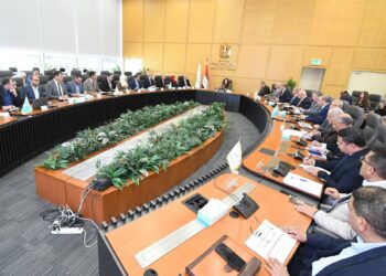 وزيرة الإسكان تتابع مشروعات المياه والصرف الصحي في مطروح والمنوفية والعاشر من رمضان