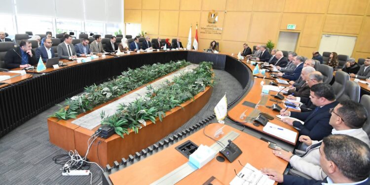 وزيرة الإسكان تتابع مشروعات المياه والصرف الصحي في مطروح والمنوفية والعاشر من رمضان