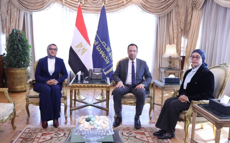 لتعزيز البنية التكنولوجية.. وزير الاتصالات ومحافظ الوادي الجديد يناقشان دفع التحول الرقمي