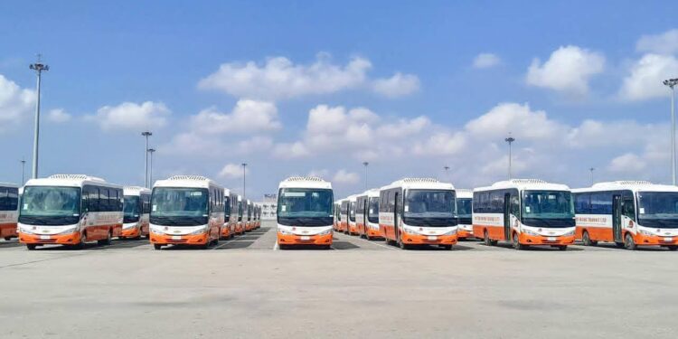 من شرق بورسعيد إلى غانا.. 100 حافلة مصرية تنطلق للأسواق الأفريقية