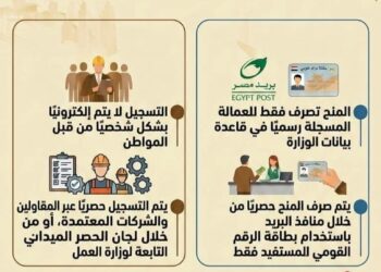 وزارة العمل تحذر من صفحات وهمية تستغل منح العمالة غير المنتظمة للنصب على المواطنين