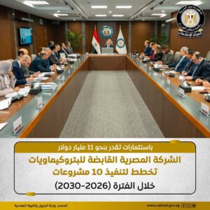مصر تضخ 11 مليار دولار لتوطين صناعة