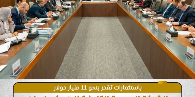 مصر تضخ 11 مليار دولار لتوطين صناعة