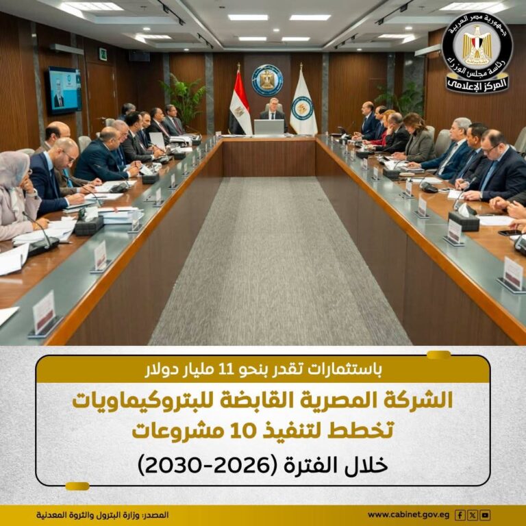 مصر تضخ 11 مليار دولار لتوطين صناعة