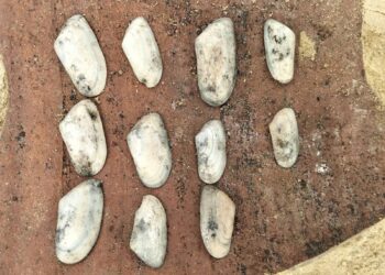 اكتشاف مبنى أثري من القرن الخامس الميلادي بالبحيرة يكشف ملامح بدايات الرهبنة القبطية