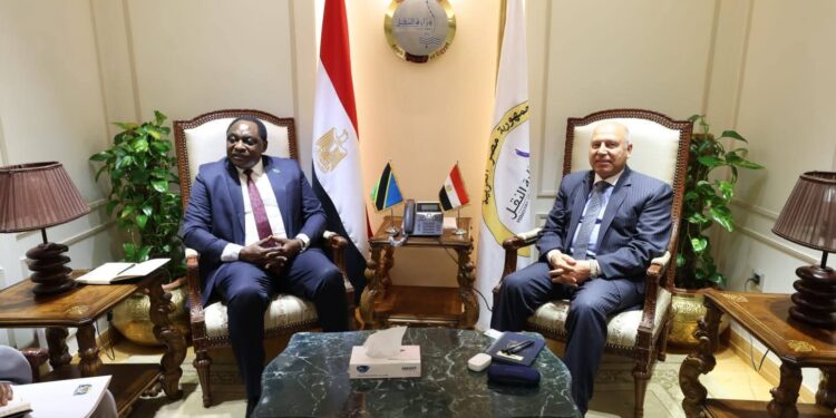 وزير النقل يدرس مع سفير تنزانيا إنشاء محطة متعددة الأغراض بميناء دار السلام ومنطقة لوجستية مشتركة