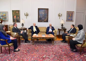 وزير الخارجية يستقبل المدير التنفيذي لمجموعة الدول العربية في البنك الدولي