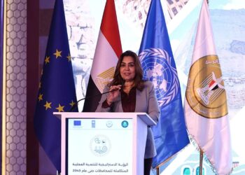 منال عوض: القطاع الخاص ركيزة أساسية لتحقيق التنمية الاقتصادية المحلية وحريصون على تعزيز دوره   