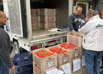 التموين: تضخ سيارات متنقلة لبيع الطماطم بسعر 21.5 جنيه للكيلو في عدة مناطق بالقاهرة