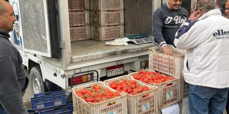 التموين: تضخ سيارات متنقلة لبيع الطماطم بسعر 21.5 جنيه للكيلو في عدة مناطق بالقاهرة