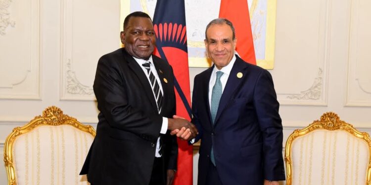 مصر ومالاوي تبحثان تعزيز الشراكة الاقتصادية ودعم الاستقرار في أفريقيا