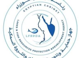 77 طنًا حصيلة الحصاد السمكي بمزارع “الزاوية” و”برسيق” ضمن خطة دعم الأمن الغذائي