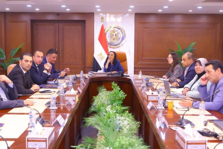 التضامن تعزز كفالة الأطفال بمنظومة إلكترونية جديدة وربط شامل للجان