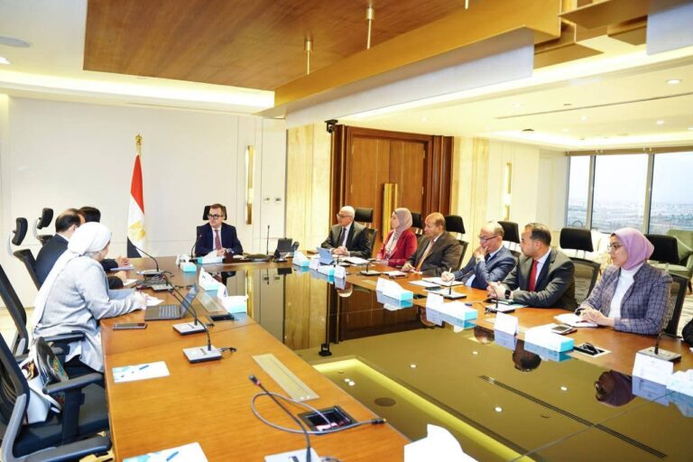 شراكة تنموية لتعزيز التحول الرقمي والطاقة في مصر