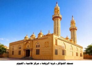 افتتاح 30 مسجدًا جديدًا غدًا.. الأوقاف تمضي قدمًا في خطة التطوير والإعمار الشامل