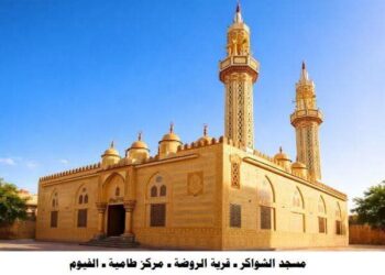 افتتاح 30 مسجدًا جديدًا غدًا.. الأوقاف تمضي قدمًا في خطة التطوير والإعمار الشامل