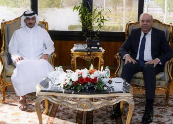 وزير الطيران المدني يبحث إنشاء مصنع لإنتاج وقود الطائرات المستدام فى مصر  بالتعاون مع مجموعة قطرية