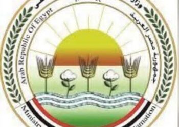 الزراعة تحصين 2.1 مليون رأس ماشية ضمن الحملة القومية ضد الجلد العقدي وجدري الأغنام