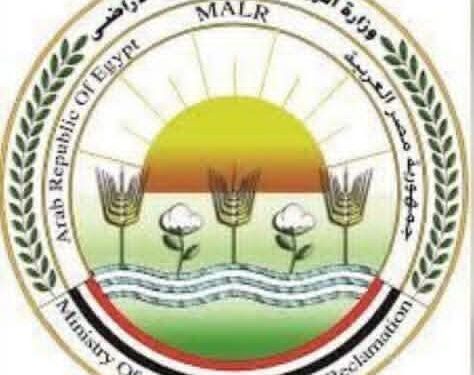 الزراعة تحصين 2.1 مليون رأس ماشية ضمن الحملة القومية ضد الجلد العقدي وجدري الأغنام