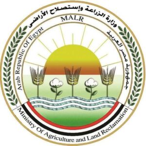 قبل شم النسيم.. حملات مكثفة تضبط أطنان أسماك غير صالحة